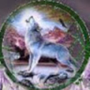 Meet your Posher, Robyn